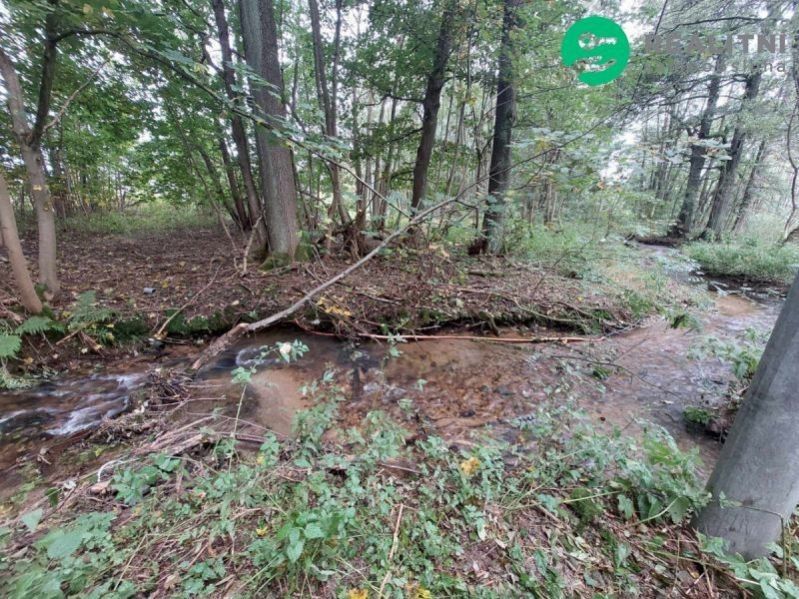 Pozemek pro bydlení · 626 m² · Dolní Orlice, Červená Voda - 4