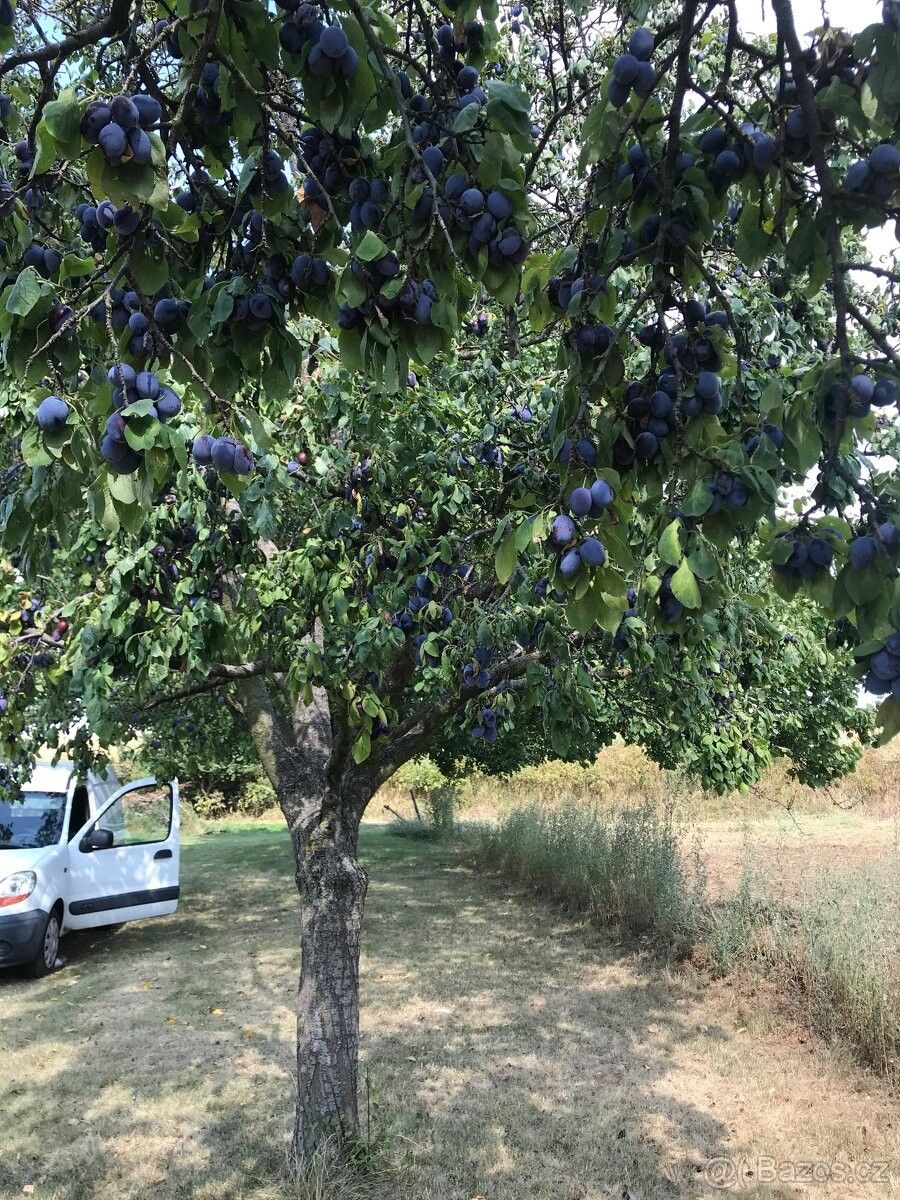 Pozemky pro bydlení, Svatobořice, 696 04
