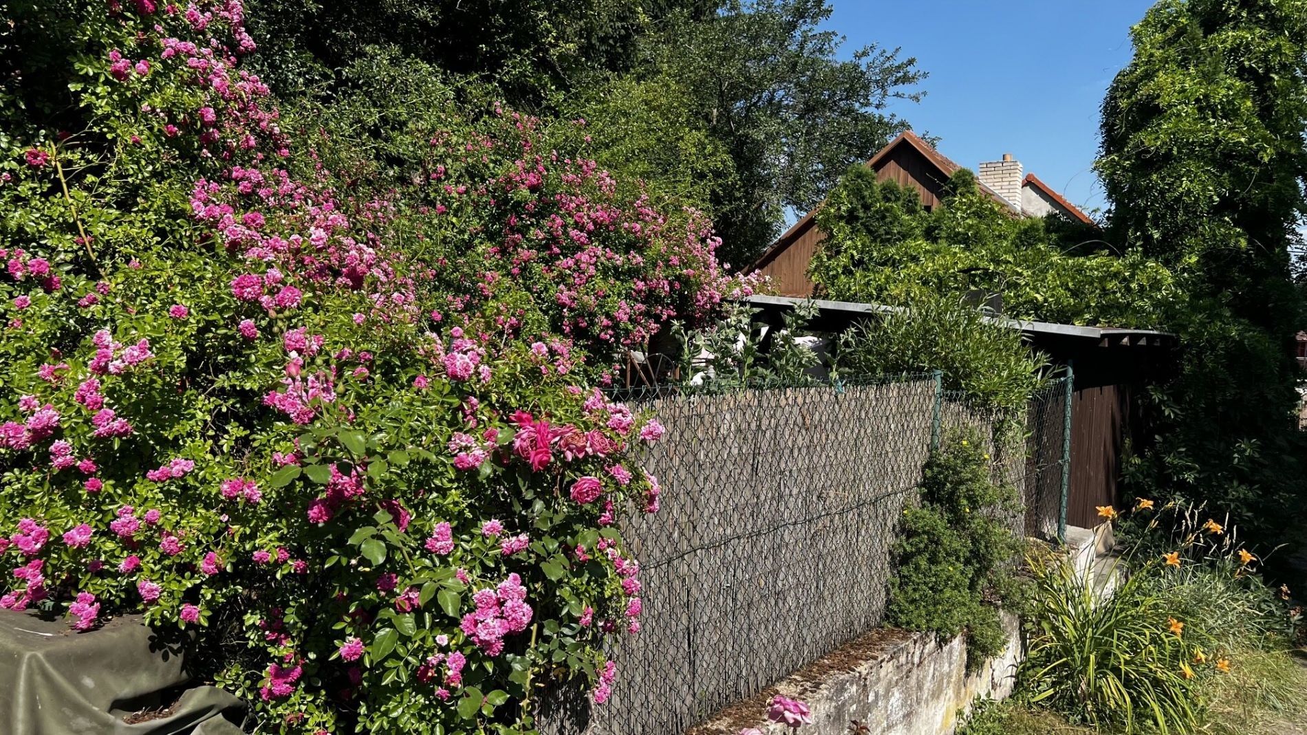 Prodej rodinný dům - Krokočín, 89 m² - 5
