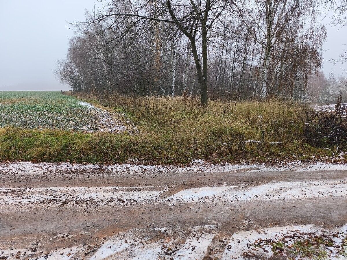 Pozemky pro bydlení, Broumy, 267 42