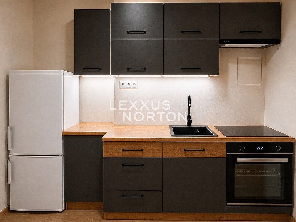 2+1, Praha - Vinohrady, okres Praha 3, Hlavní město Praha, 55 m² - 1