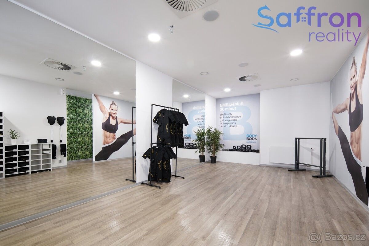 Obchodní prostory, Plzeň, 301 00