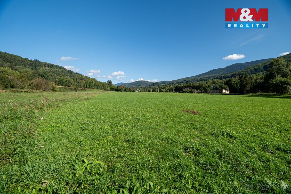 Prodej pozemek pro bydlení - Sněžné, 592 03