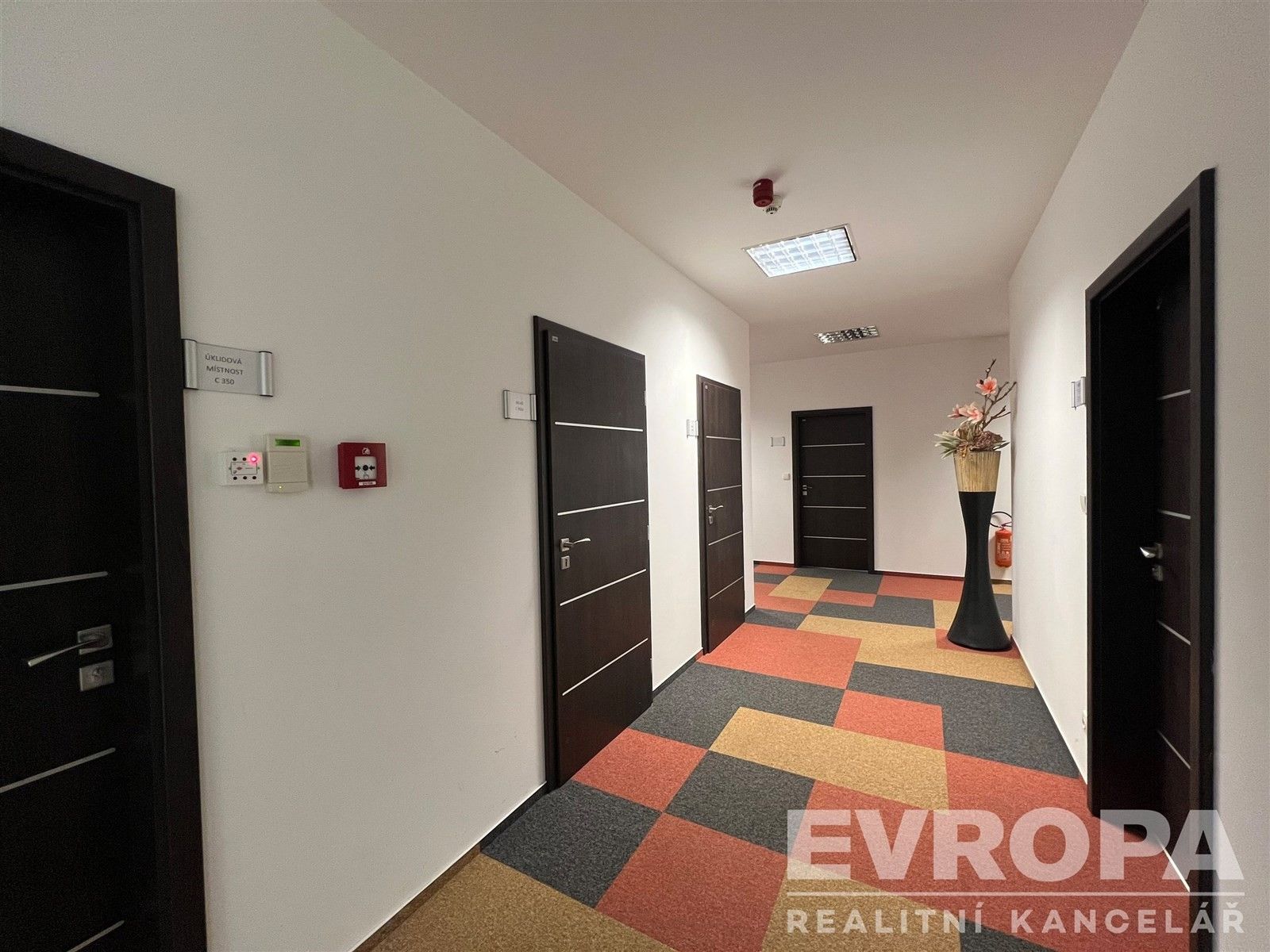 Pronájem kancelář - Prusíkova 2577, Praha Stodůlky, 31 m² - 5