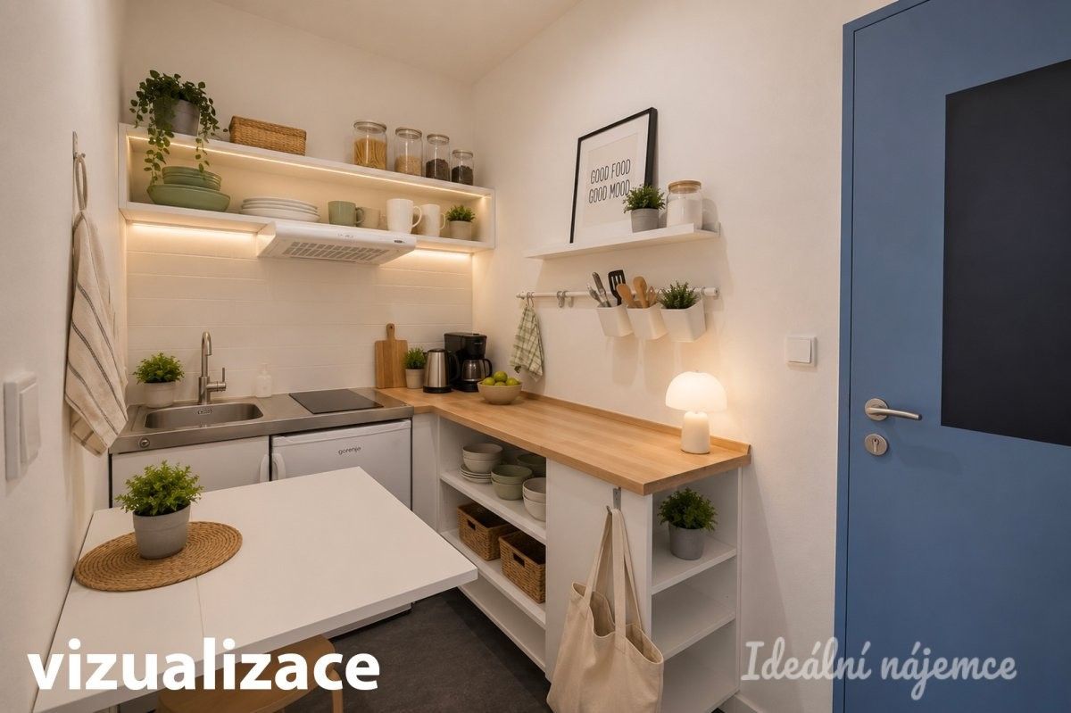 1+kk, Cejl, Brno, 26 m² - 2
