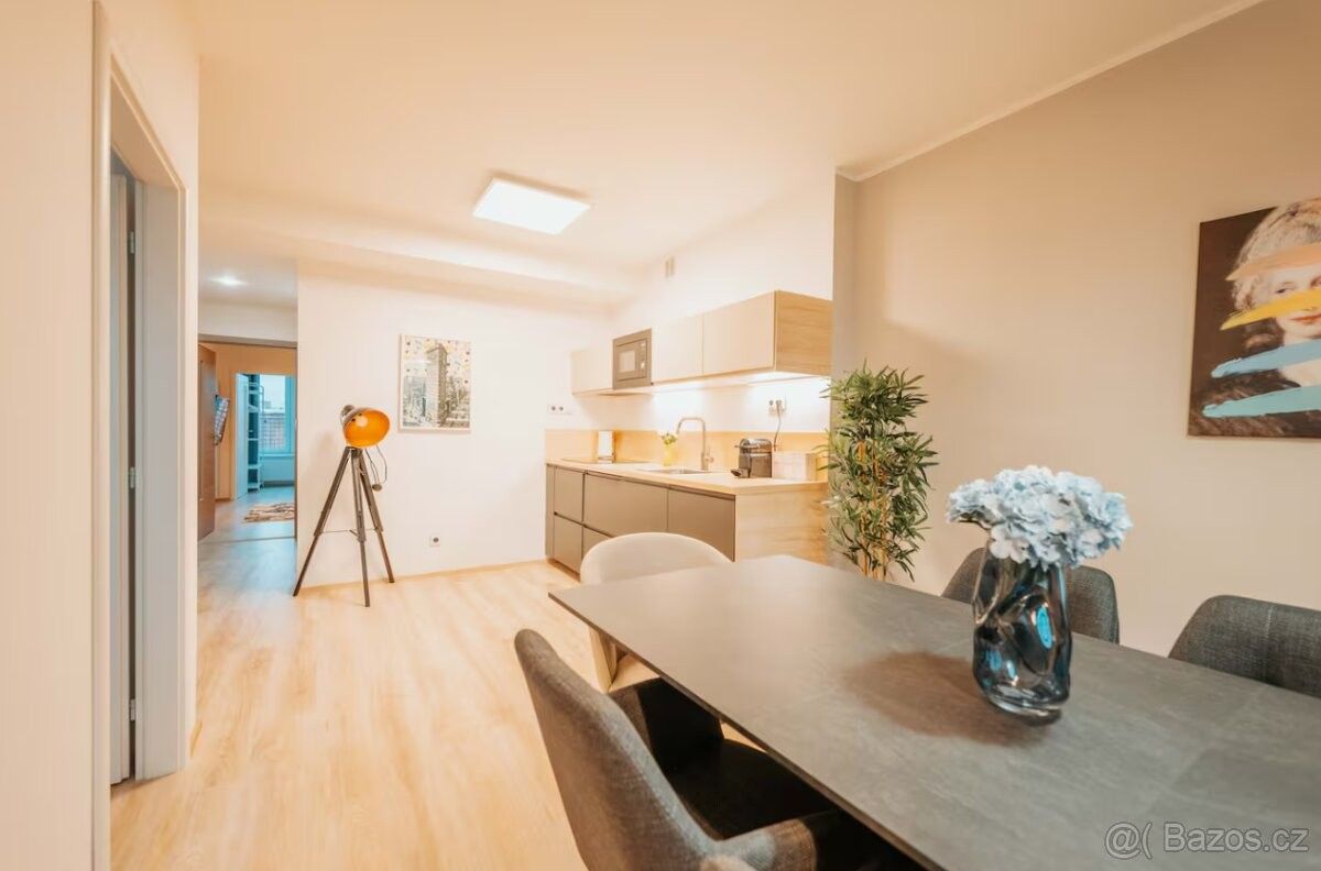 Pronájem byt - Plzeň, 301 00