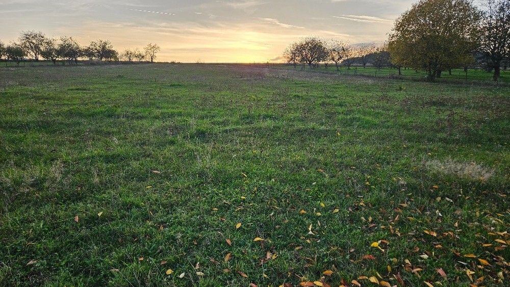 Prodej pozemek pro bydlení - Mladá Vožice, 391 43