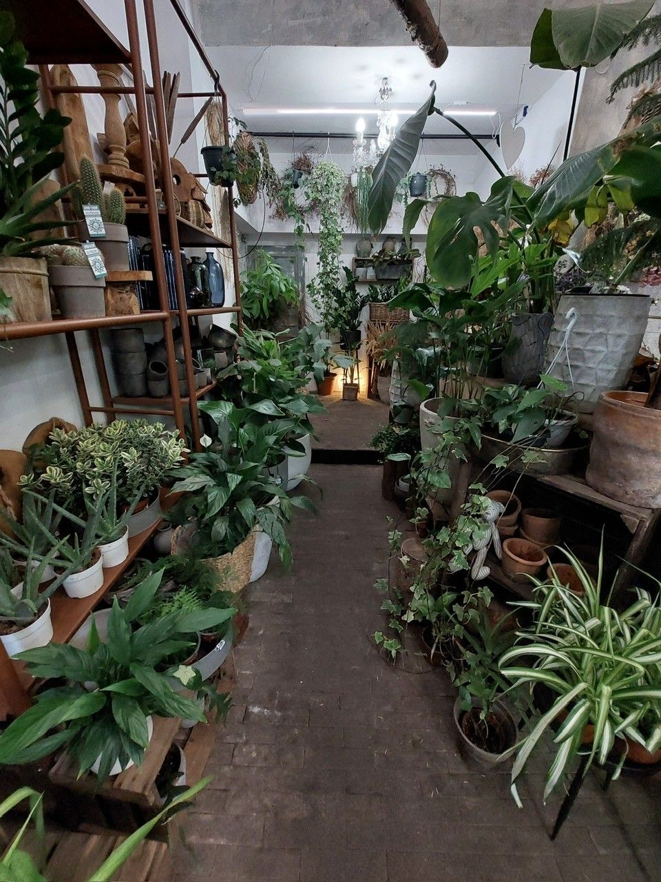 Pronájem obchodní prostory - Vinohradská 1897/141, Praha, 69 m²