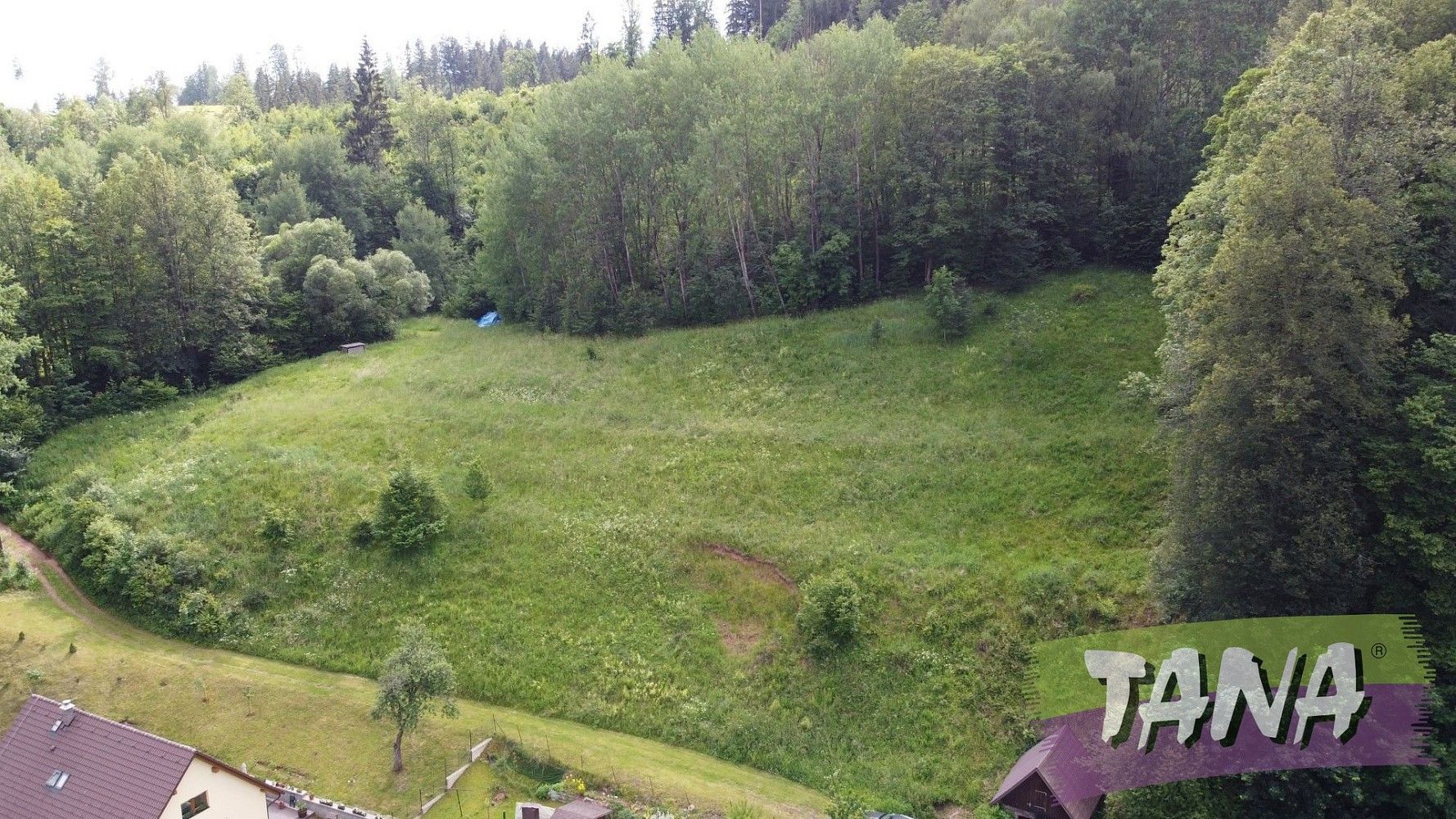Louka · Rudník - Arnultovice, okres Trutnov, Královéhradecký kraj - 2