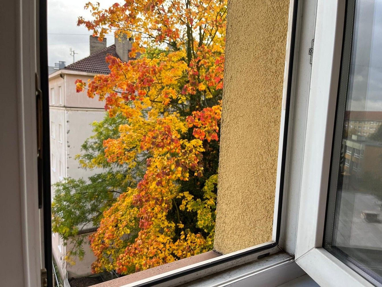 Pronájem byt 1+kk - Praha - Michle, okres Praha 4, Hlavní město Praha, 22 m² - 5