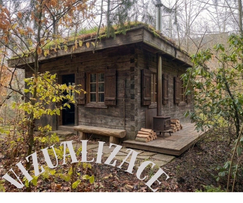 Prodej les - Štíty, 373 m² - 5