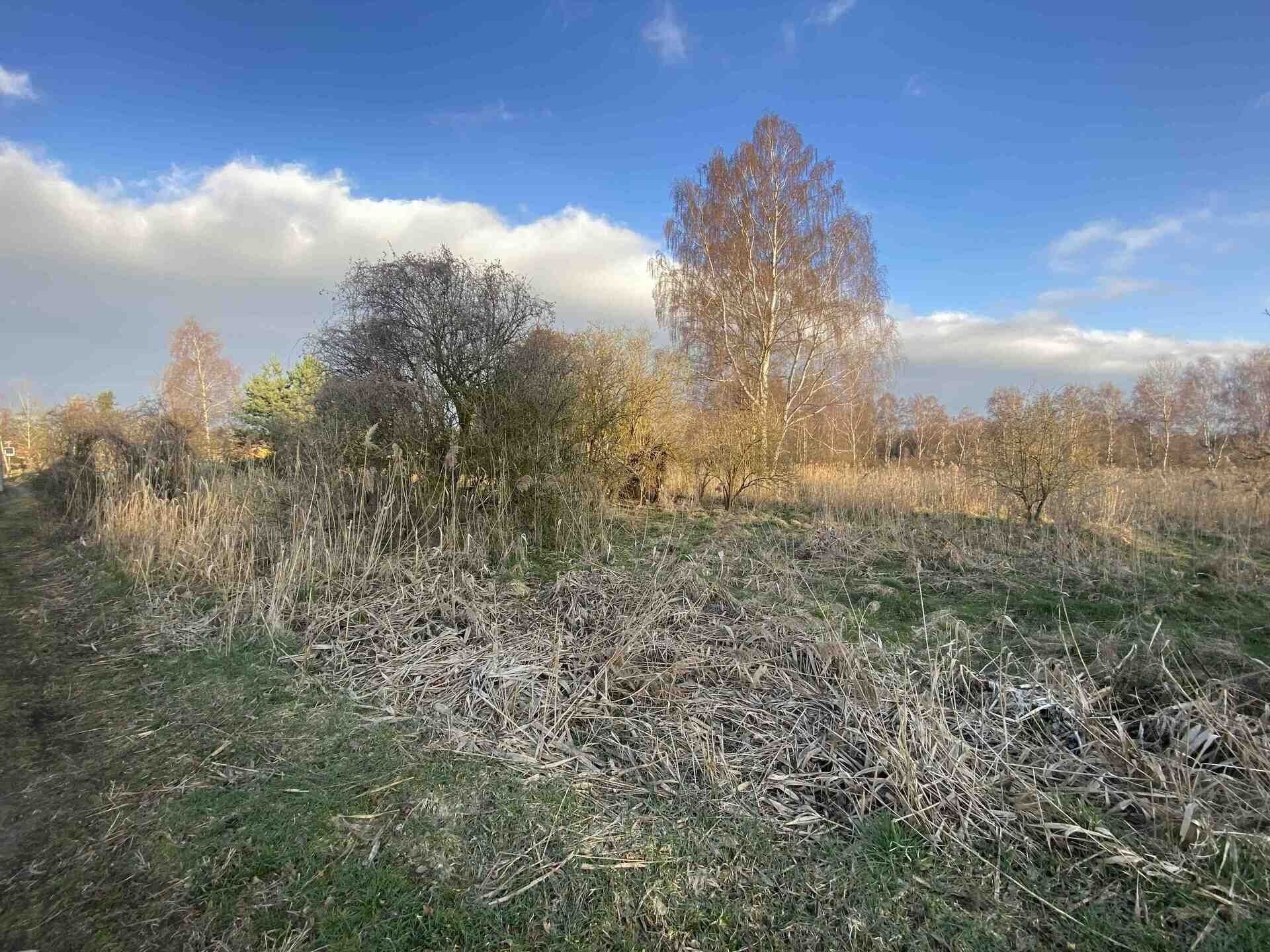 Zemědělské pozemky, Okna, 2 866 m² - 2