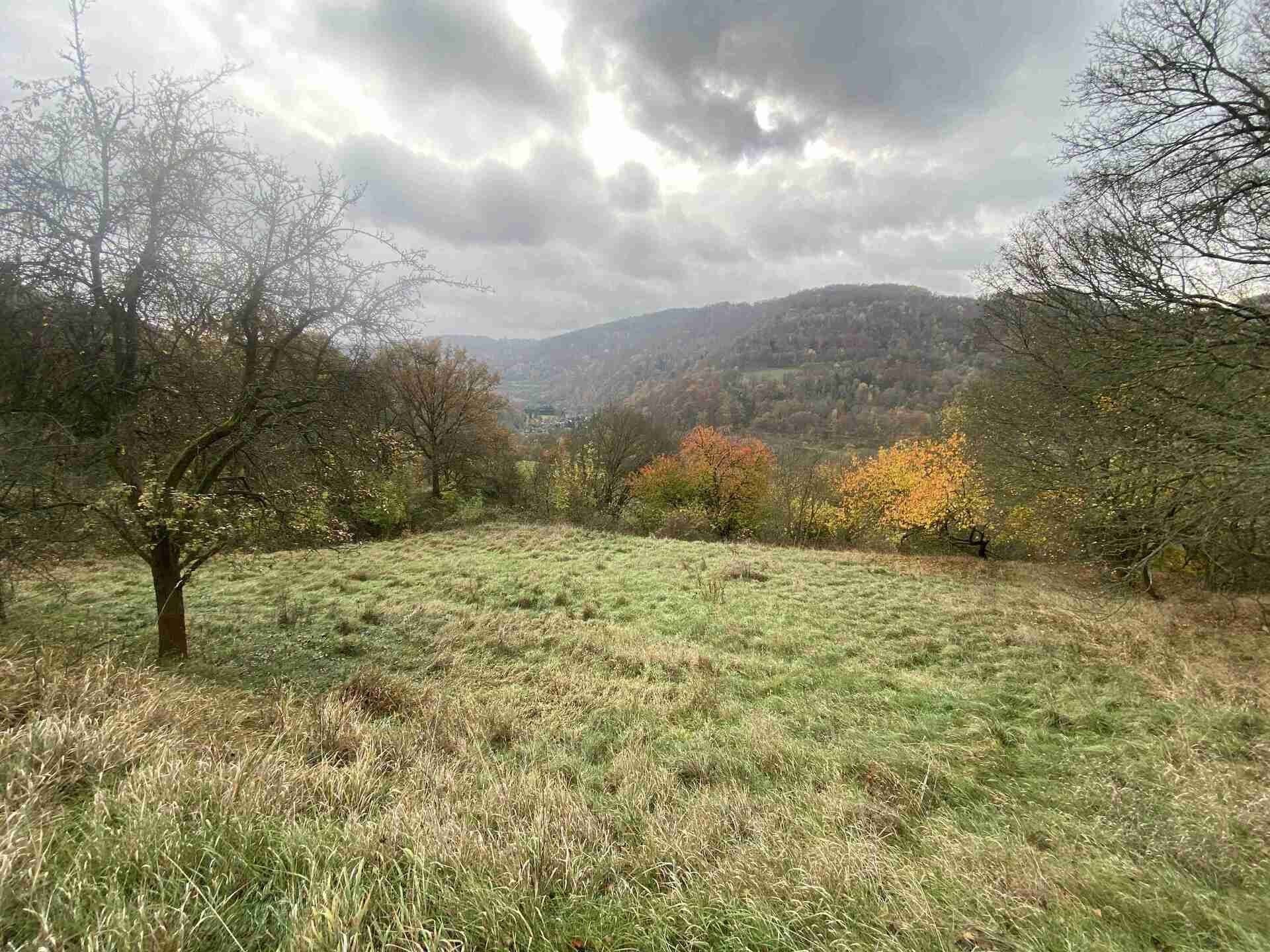 Prodej pozemek - Děčín XXVII-Březiny, 4 431 m² - 5