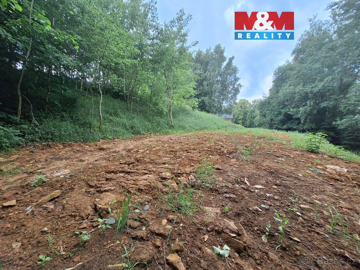 Pozemky pro bydlení, Třebařov, 569 33