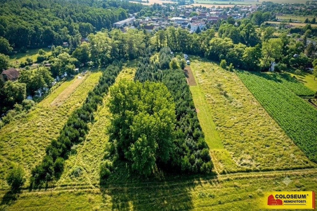 Zemědělský pozemek · Znojmo - 4