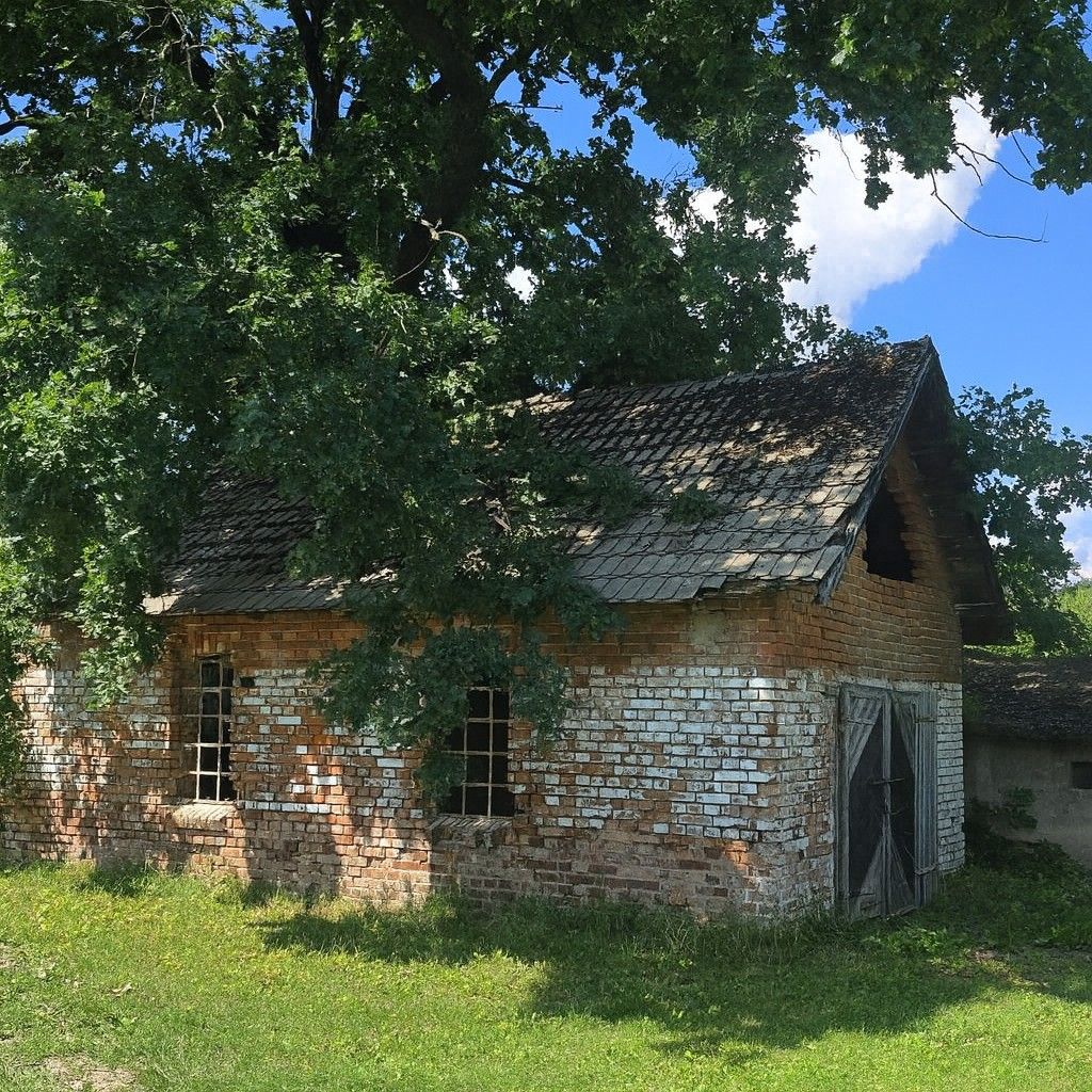 Prodej ostatní - Osoblaha, 793 99