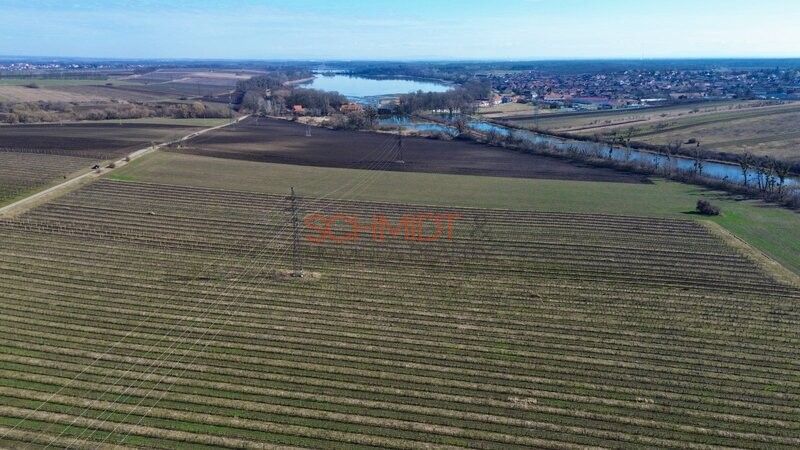 Pozemky pro bydlení, Sedlec u Mikulova, 691 21