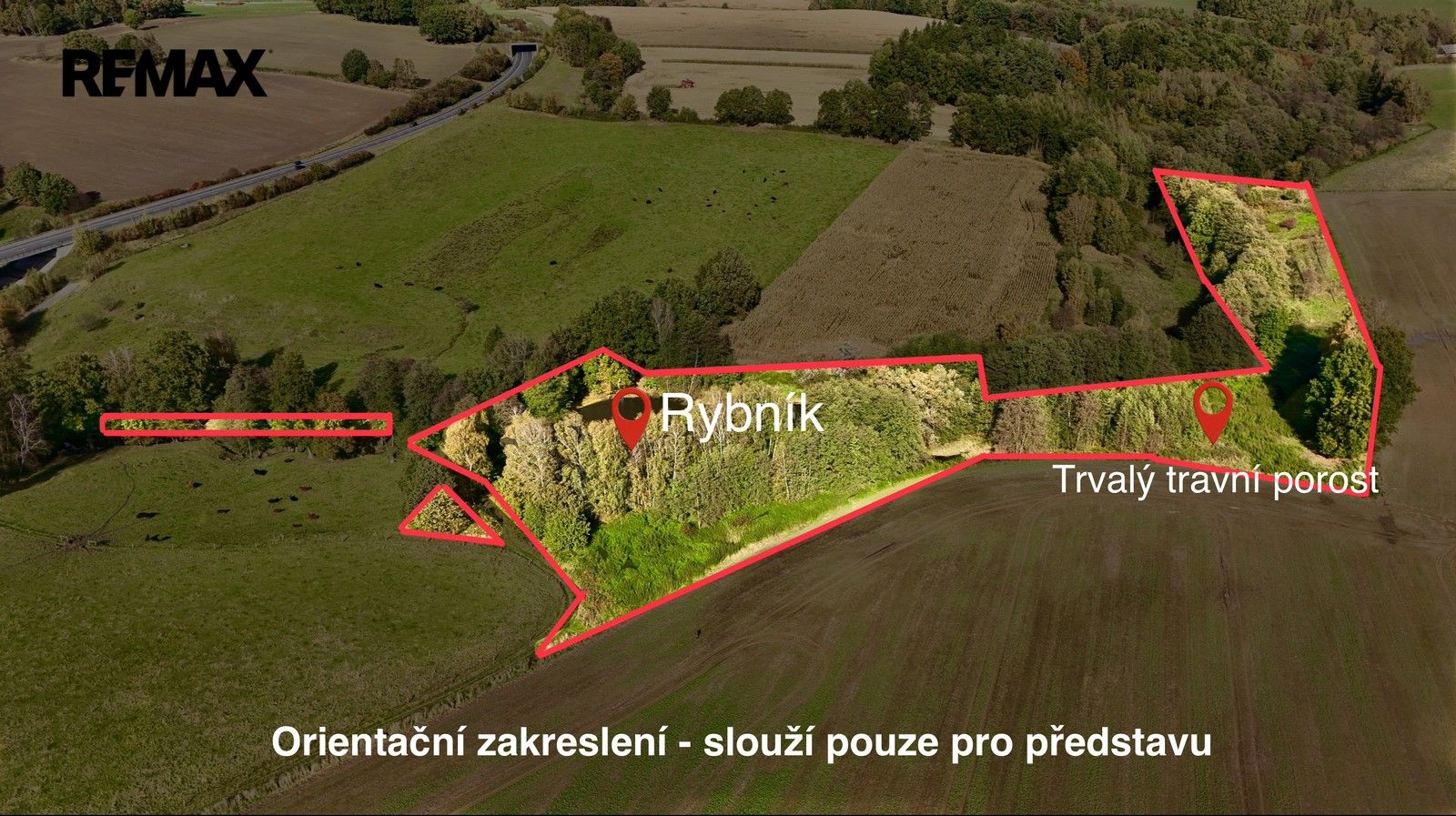 Rybník · 8 558 m² · Bílý Kostel nad Nisou - 4