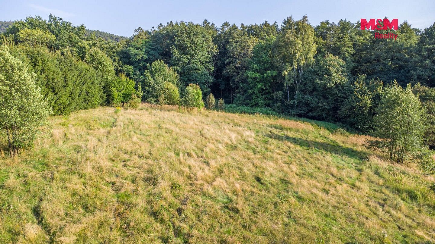 Louka · Nový Bor - Janov, okres Česká Lípa - 4