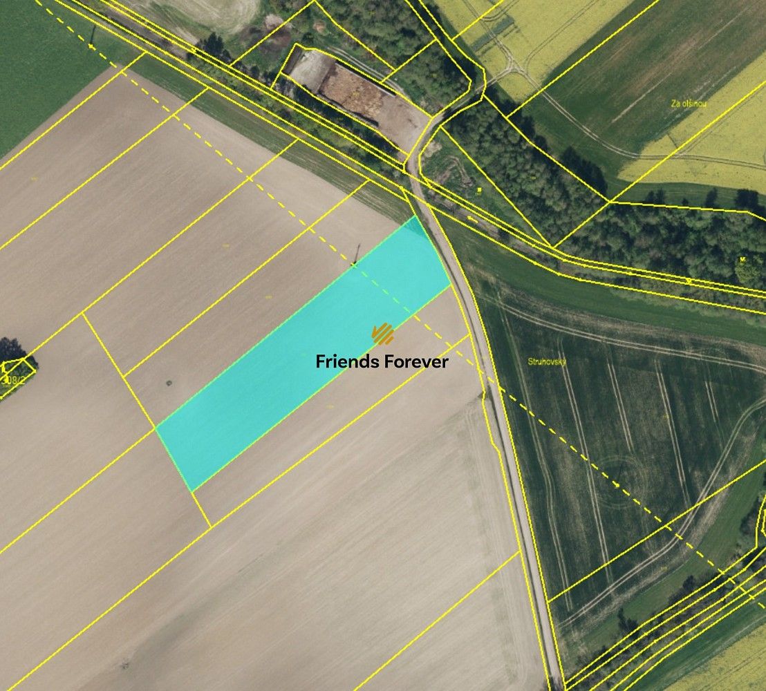 Zemědělský pozemek · Pardubice - Hostovice - 4