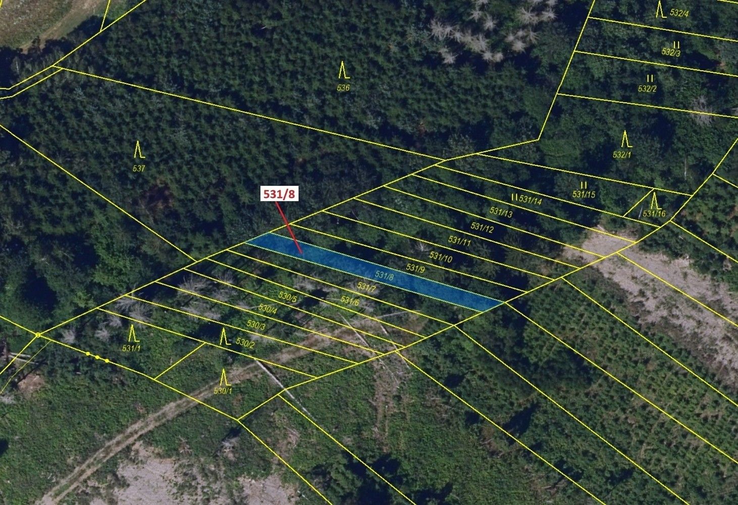 Prodej les - Vysoká, okres Havlíčkův Brod, Kraj Vysočina - 2
