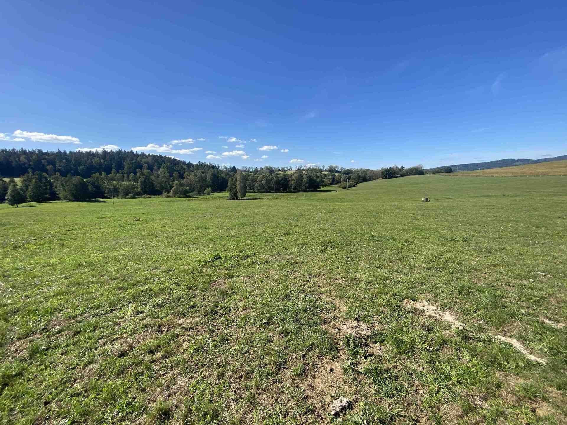 Zemědělské pozemky, Bělá nad Radbuzou Čečín, 9 226 m² - 2