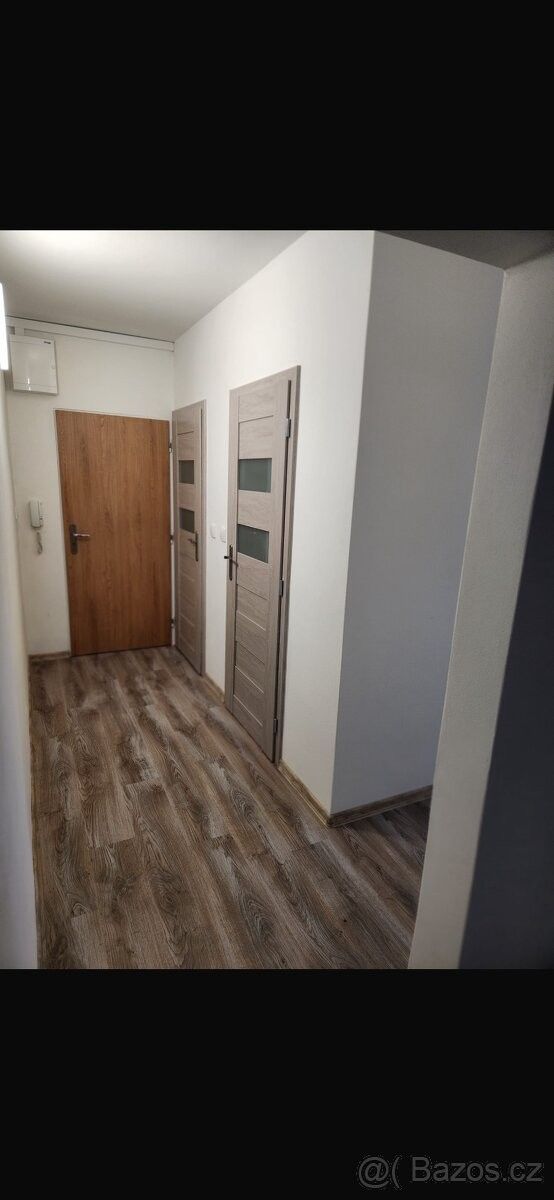 Pronájem byt - Opava, 747 05