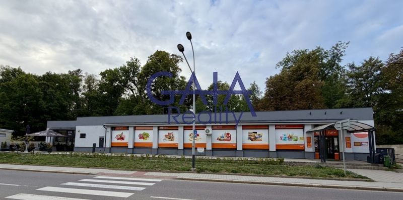 Obchodní prostory, Tyršova, Jemnice, 481 m² - 1
