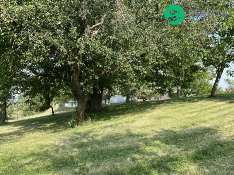 Pozemek pro bydlení, 3 359 m²