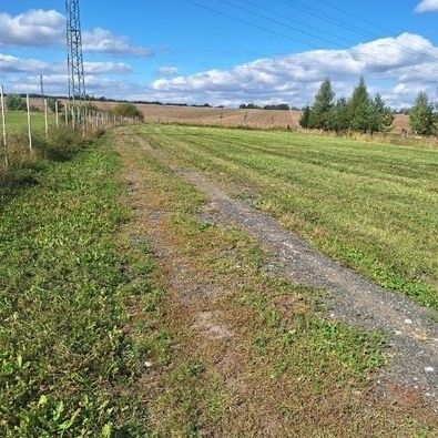 Pronájem zemědělský pozemek - Tuchlovice, 273 02, 9 000 m²