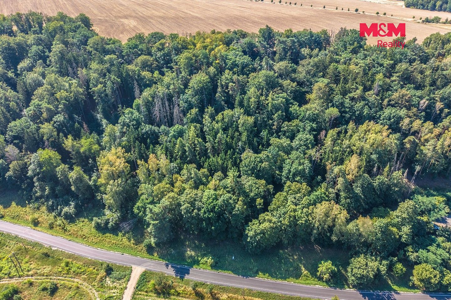 Prodej les - Tupadly, okres Mělník, Středočeský kraj - 5