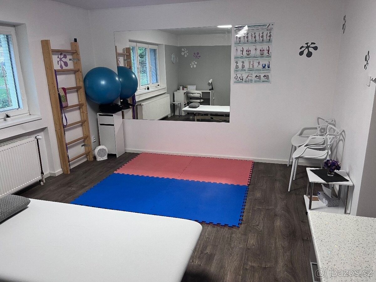 Pronájem ostatní - Čepí, 533 32