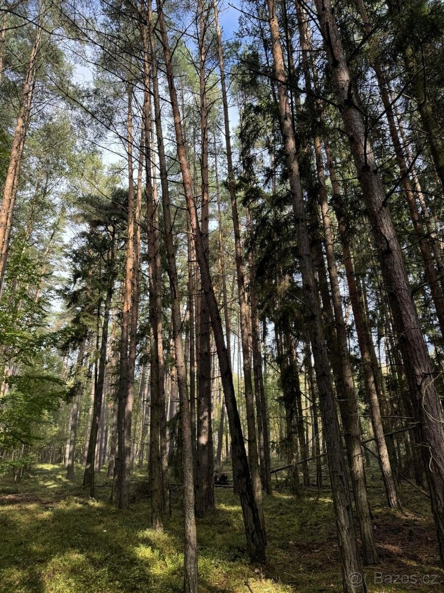 Pozemky pro bydlení, Třemošná, 330 11