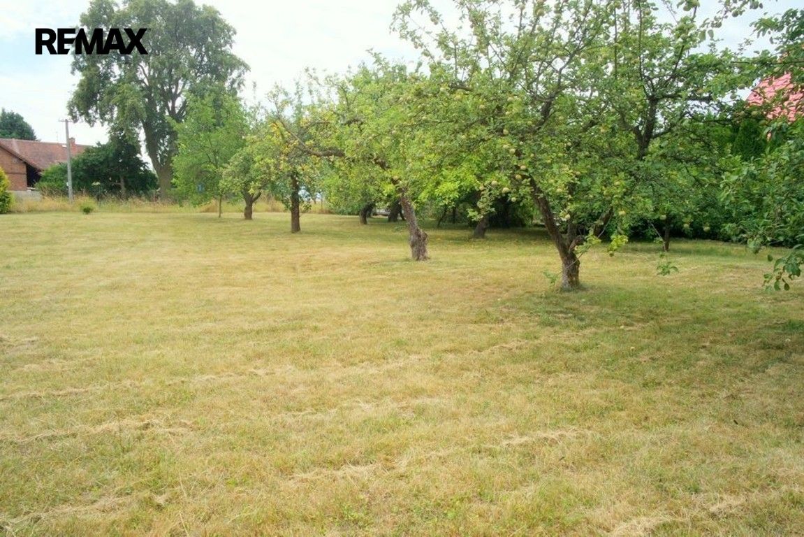 Pronájem zahrada - Libčany, 1 030 m² - 5