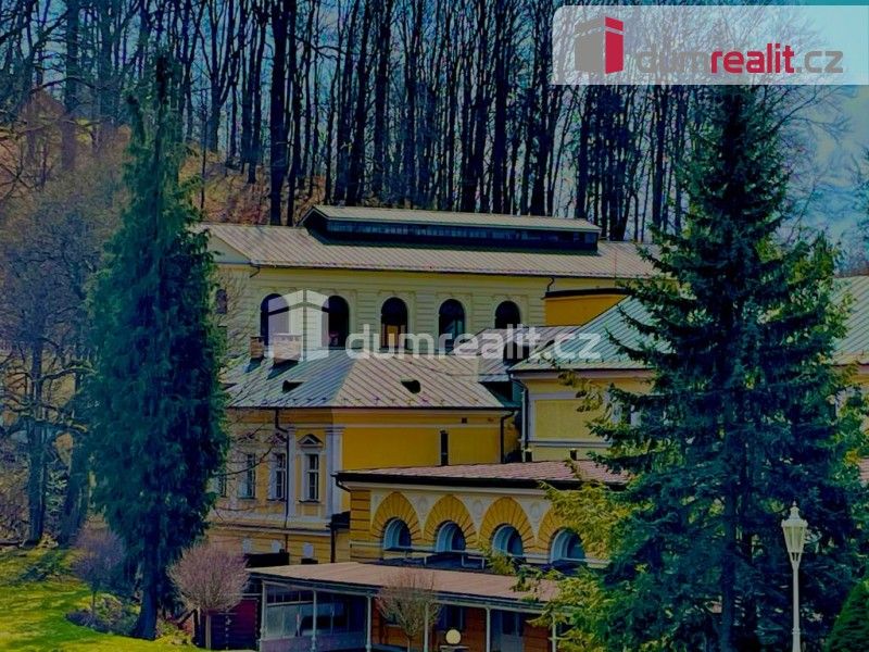 Byt 2+kk · 76 m² · Dusíkova, Mariánské Lázně - 3