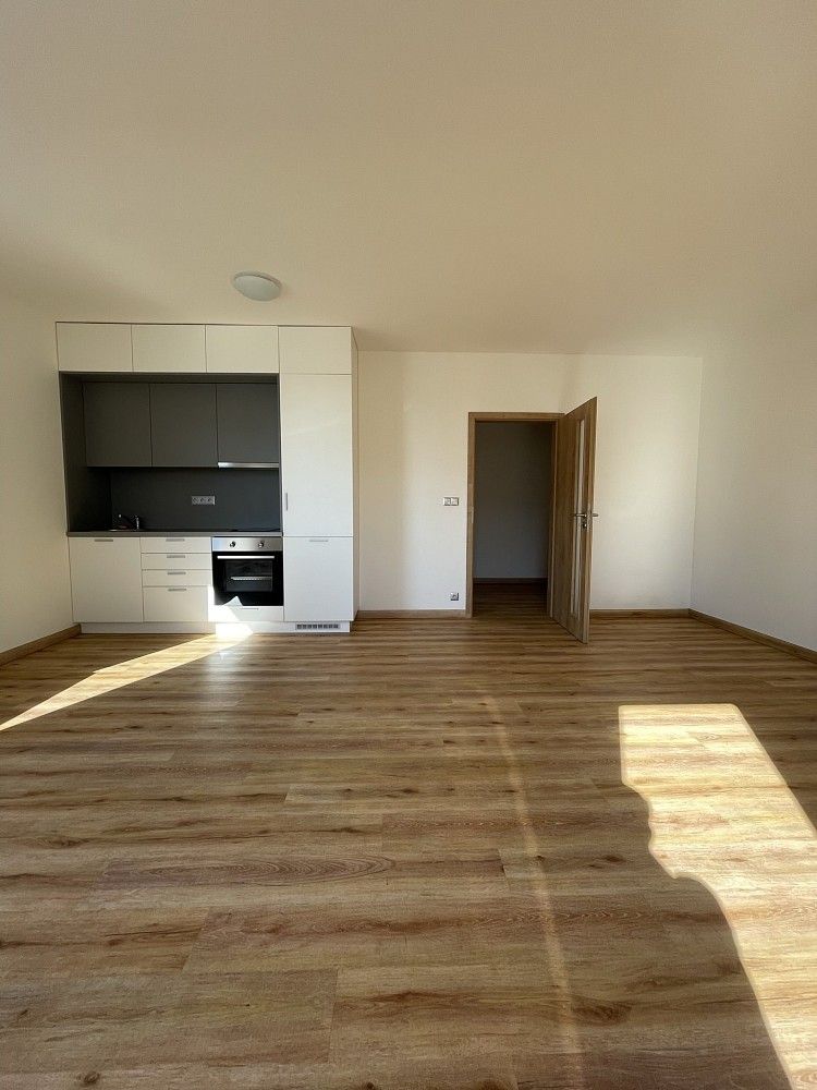Pronájem byt 1+kk - České Vrbné, České Budějovice, 40 m² - 5