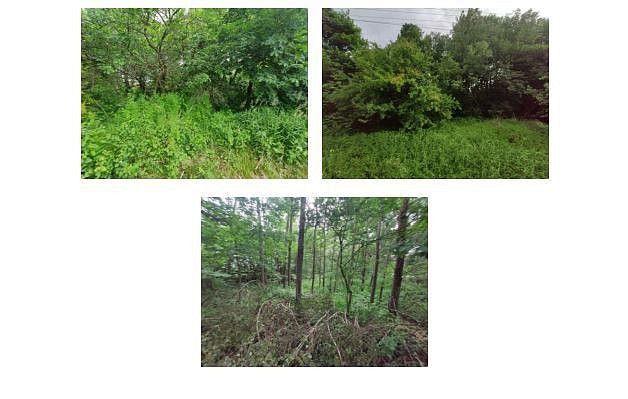 Prodej pozemek - Budišov nad Budišovkou, okres Opava, Moravskoslezský kraj - 5