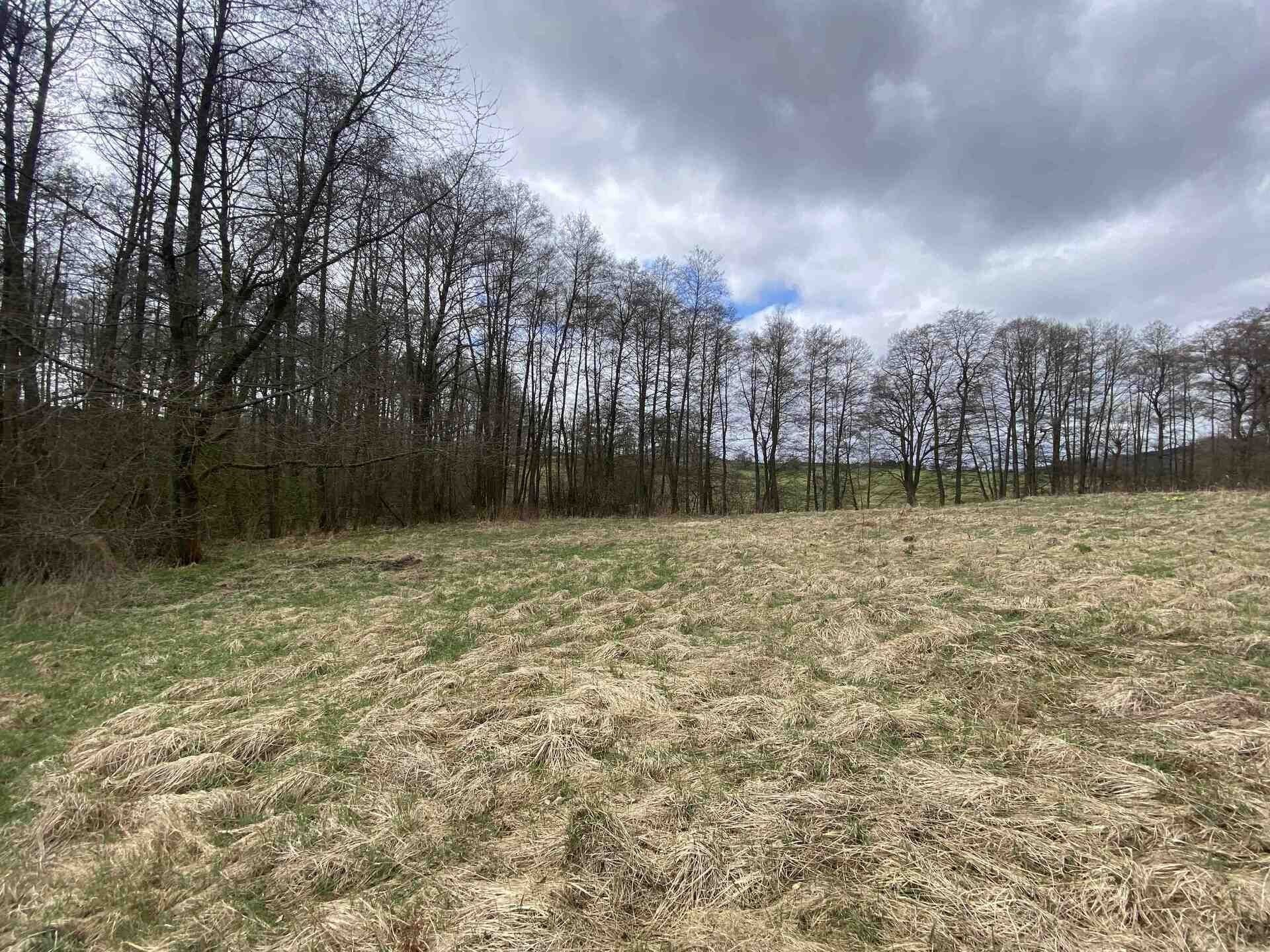 Ostatní, Jablonné v Podještědí Lvová, 692 m² - 2