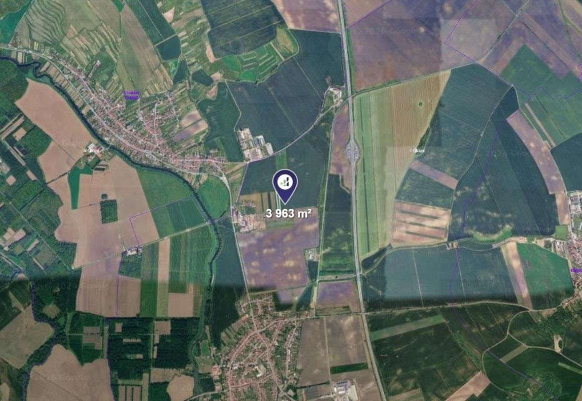 Zemědělské pozemky, Velké Němčice, 3 963 m² - 2
