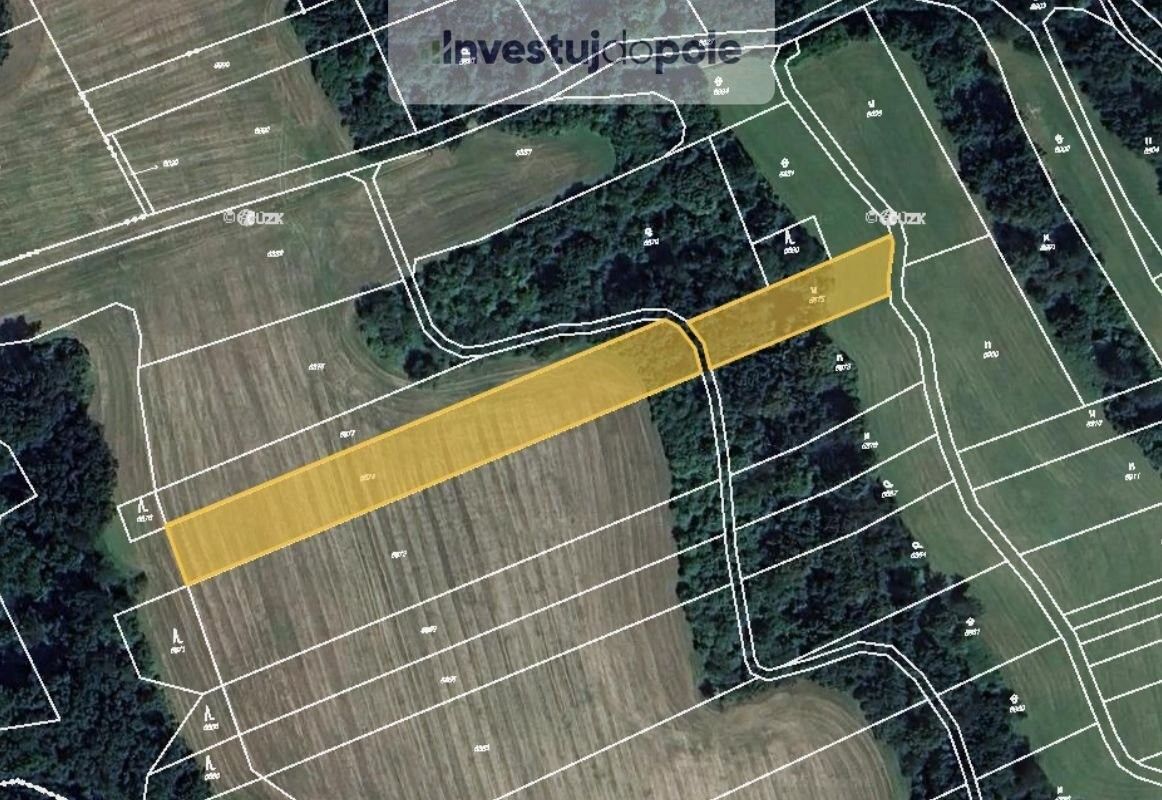 Prodej zemědělský pozemek - Doubravice nad Svitavou, 679 11, 4 120 m²
