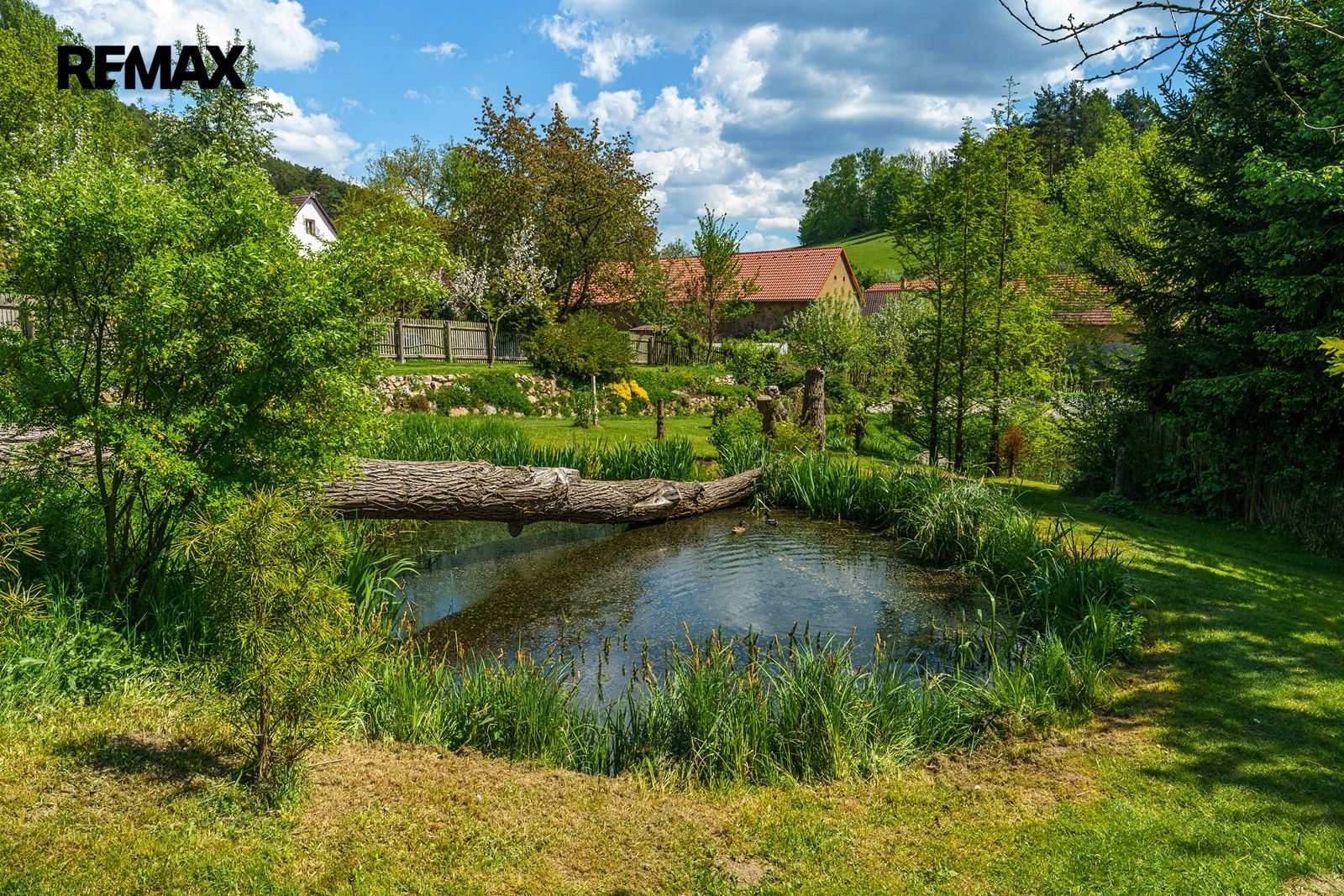 Rodinný dům · 689 m² · Borotice - 3