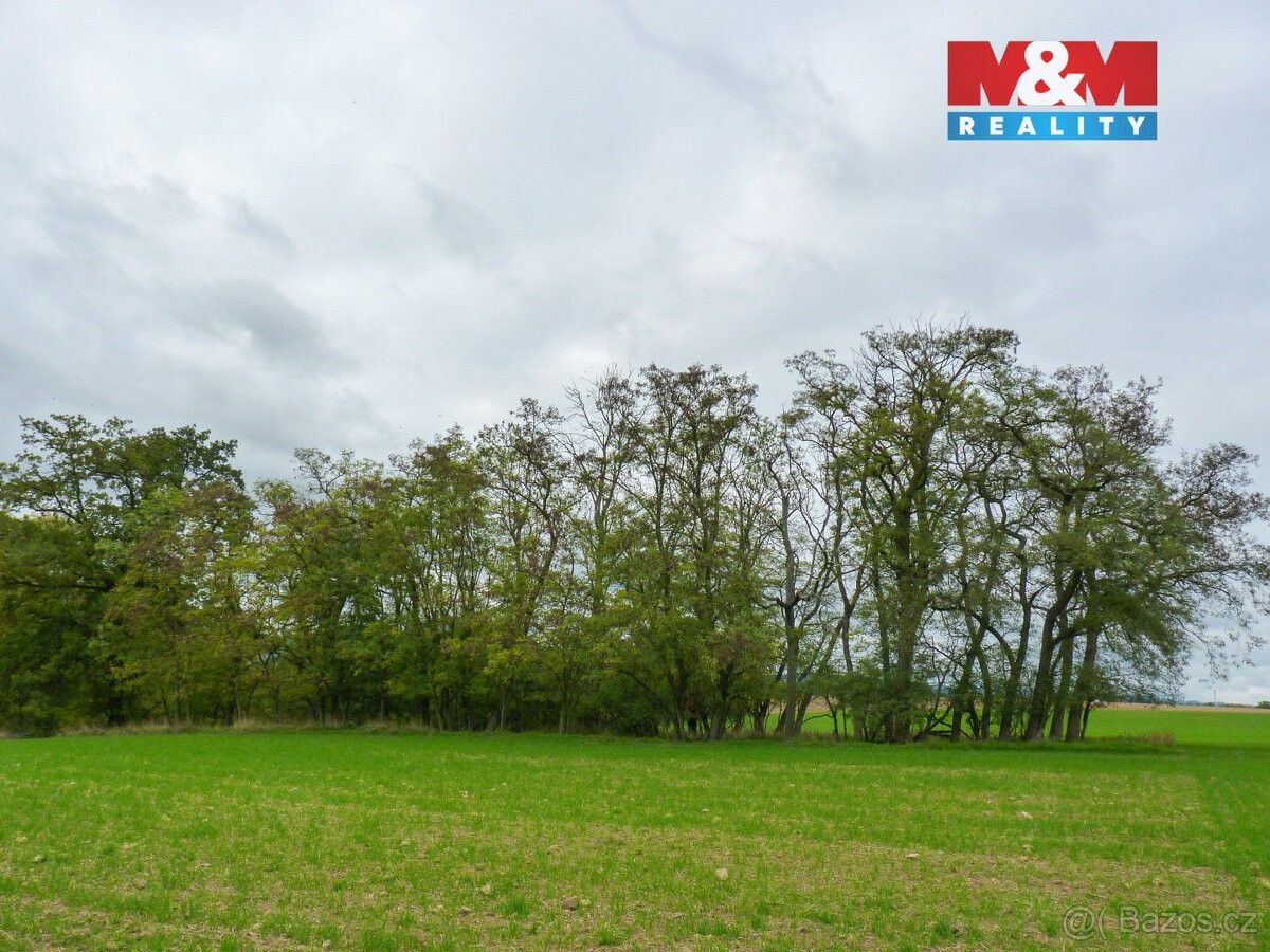 Prodej pozemek pro bydlení - Chotiněves, 411 45