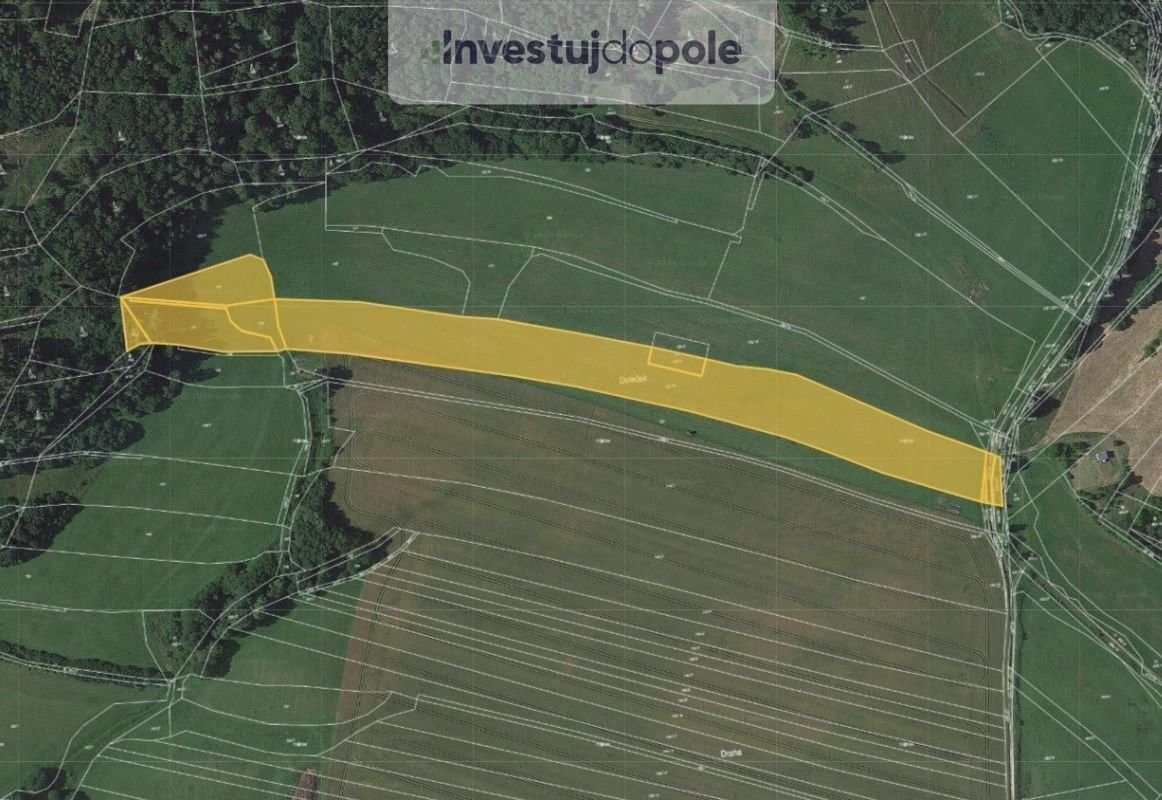 Prodej zemědělský pozemek - Moravská Třebová, 571 01, 21 742 m²