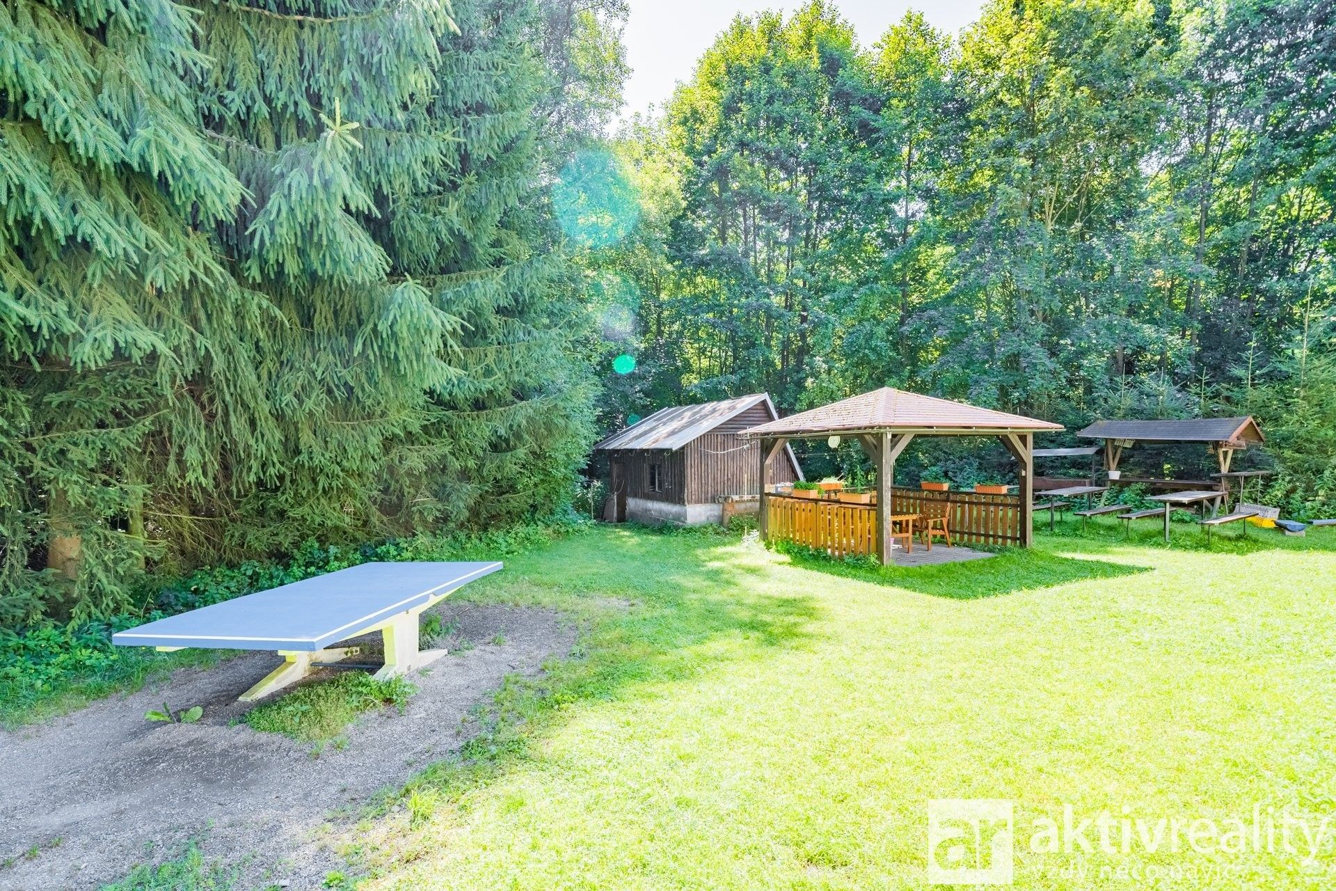 Prodej rodinný dům - Plavy, 556 m² - 5