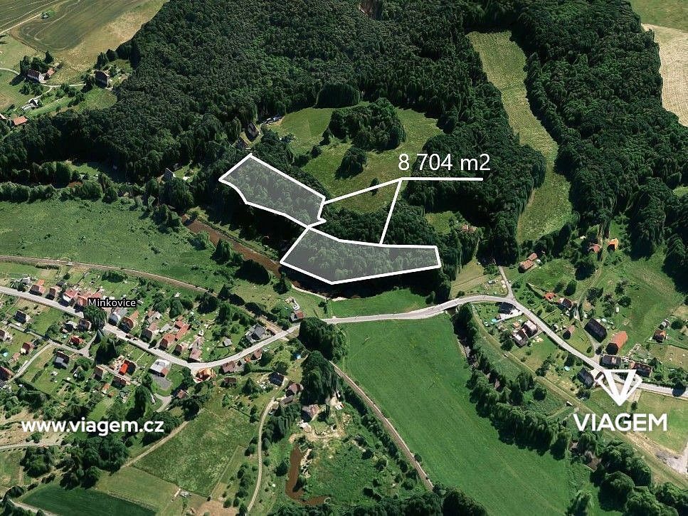 Les · Višňová, okres Liberec, Liberecký kraj - 3