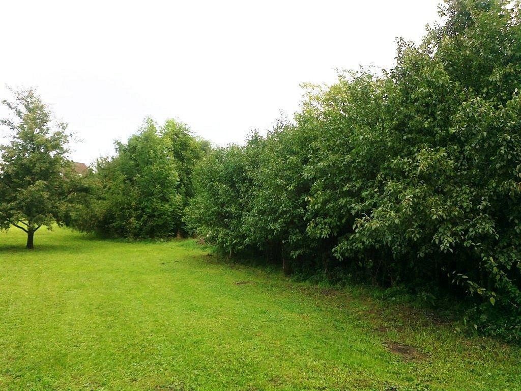 Zemědělské objekty, Labuty, okres Hodonín, 20 000 m² - 1