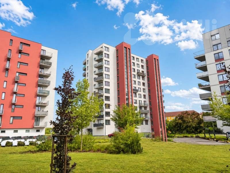 3+kk, Pod Vinicí 2846, Pardubice Zelené Předměstí, 88 m² - 1