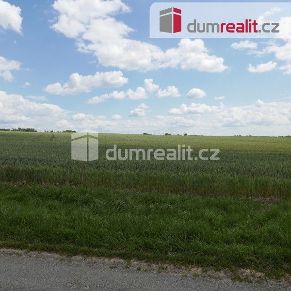 Zemědělský pozemek · 11 679 m² · Horní Bousov, Dolní Bousov - 3