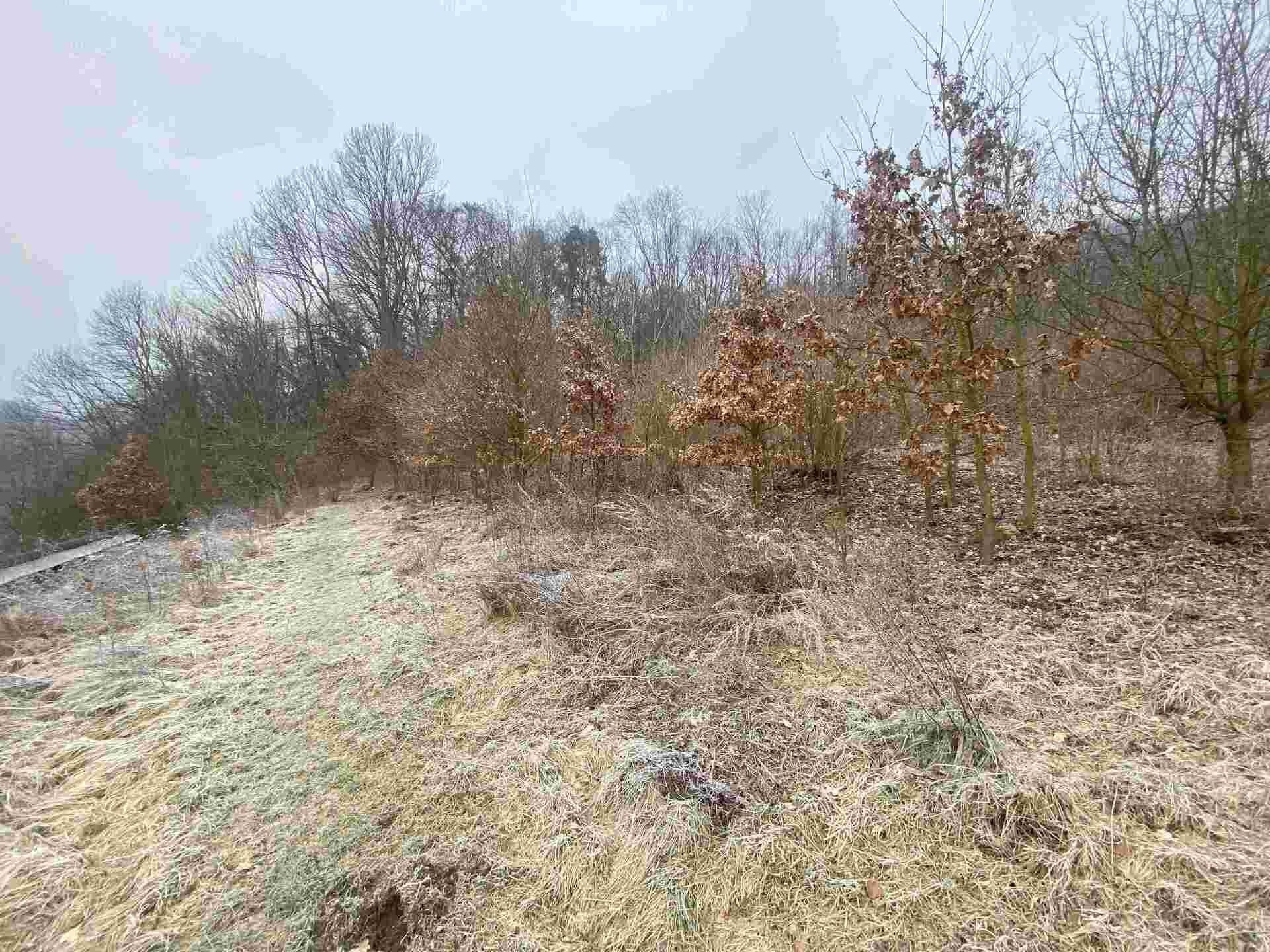 Ostatní, Ryjice, 3 m²