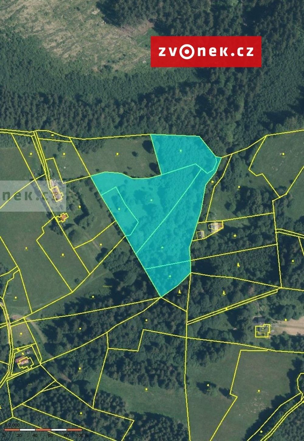 Prodej les - Valašská Bystřice, 17 142 m²